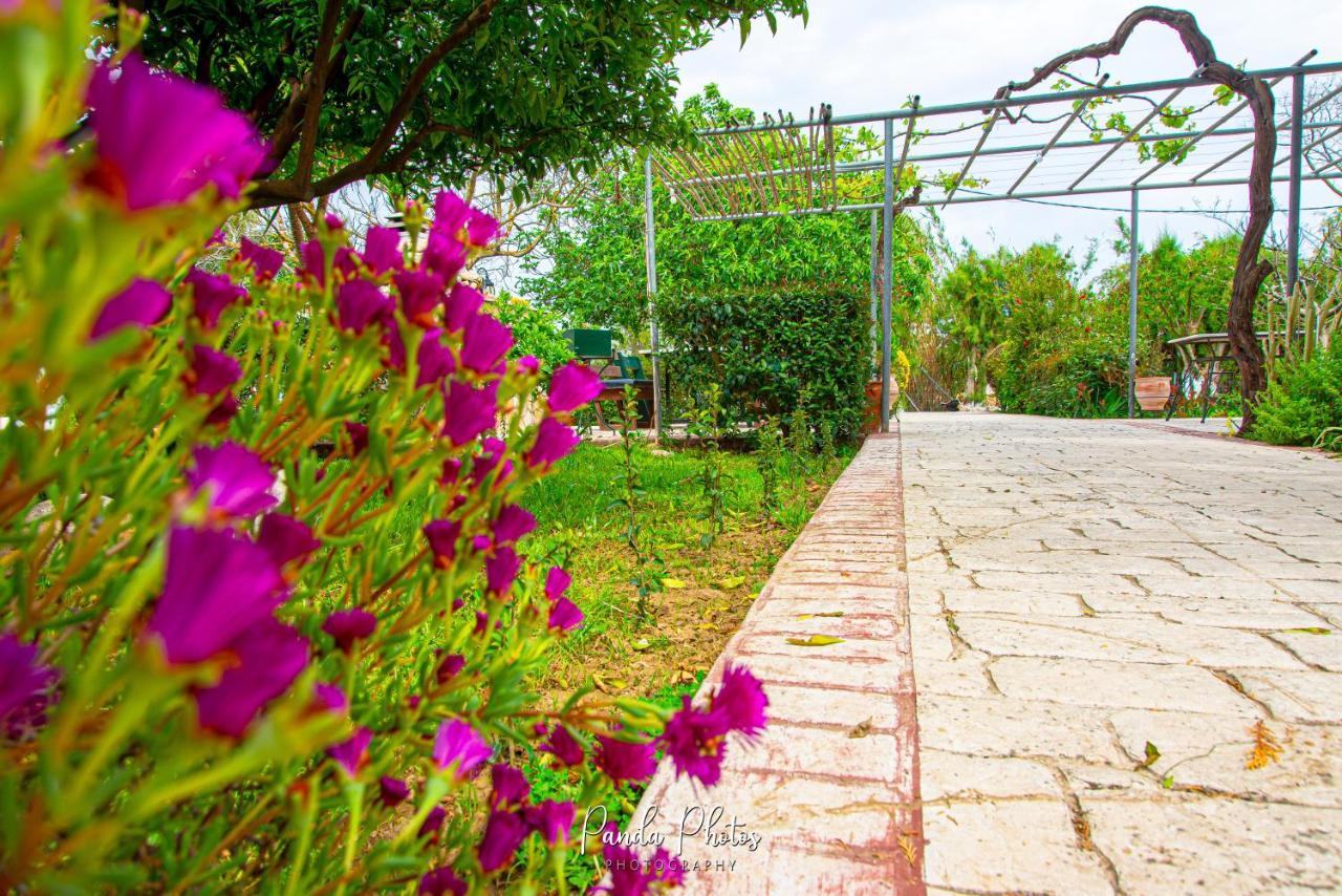 Zante Apts Laganász Kültér fotó